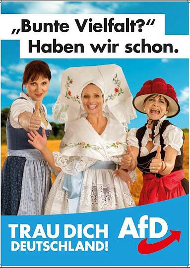 Die Wahlplakate der AfD für den Bundestagswahlkampf 2017.