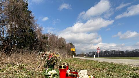 Die Gedenkstelle f&uuml;r die verstorbene Mutter bei Parkstetten im Landkreis Straubing-Bogen.