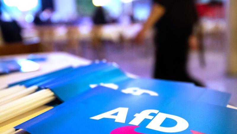 Fähnchen mit dem Logo der AfD liegen auf einem Tisch.