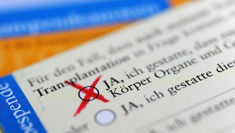 Rückseite eines ausgefüllten Organspendeausweises. Rückseite eines ausgefüllten Organspendeausweises.