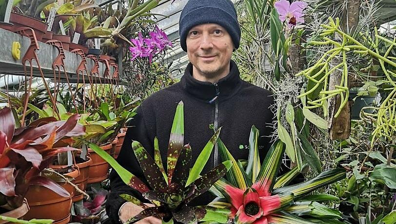 Bromelien, Kakteen, Duft- und Heilpflanzen züchtet der Versandgärtner Jürgen Grießmeyer (49) in seinem Gewächshaus in Freimann.