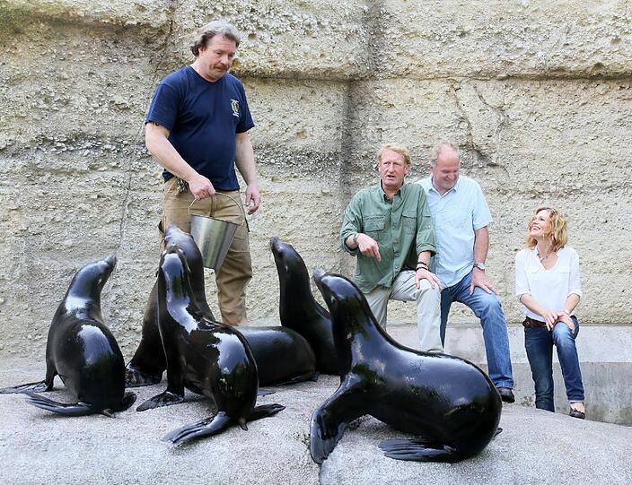 Und auch die anderen Tier-Babies in Hellabrunn haben Hunger. So wie hier in der "Robben-Kinderstube".