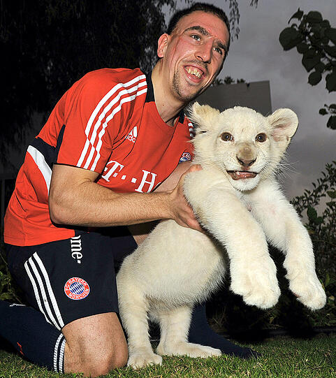 4. Januar 2009, Trainingslager in Dubai: Einige Bayern-Profis erhalten die Möglichkeit, den Privatzoo des Scheiches Hamdan zu besuchen.