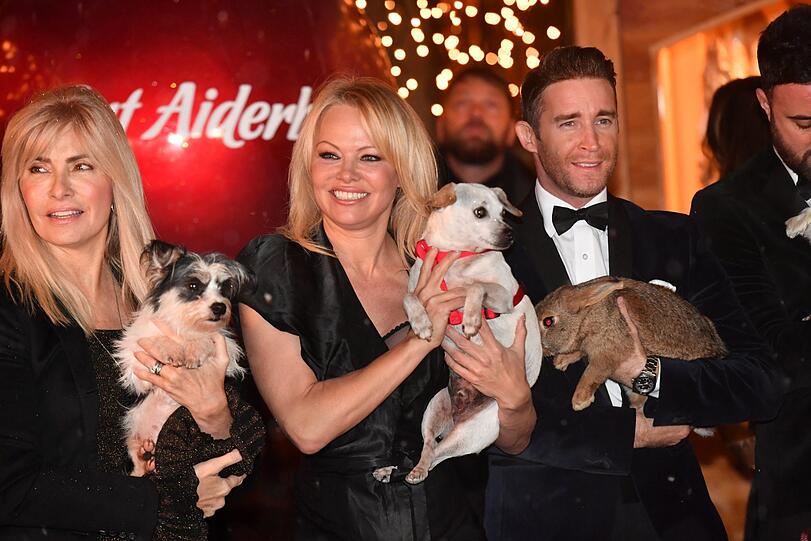 Gena O'Kelley, Pamela Anderson und the Overtones