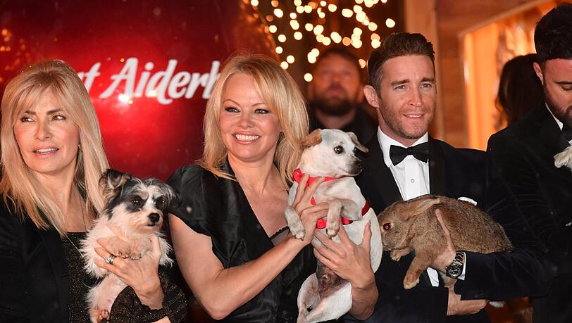 Gena O'Kelley, Pamela Anderson und the Overtones Gena O'Kelley, Pamela Anderson und the Overtones
