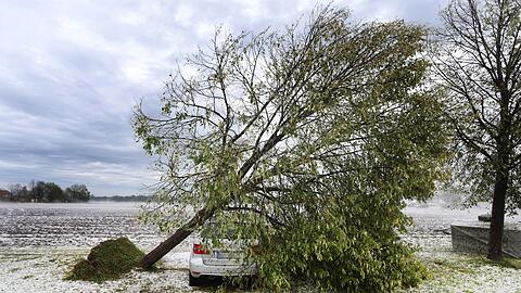 Ein vom Sturm entwurzelter Baum liegt auf dem Parkplatz eines Seniorenheims auf einem Autodach.
