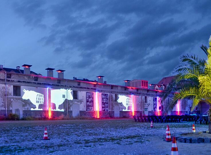 Der unbebaute Viehhof bietet derzeit noch Freiraum für Zwischennutzungen. Kommt das Volkstheater, ändert sich das.