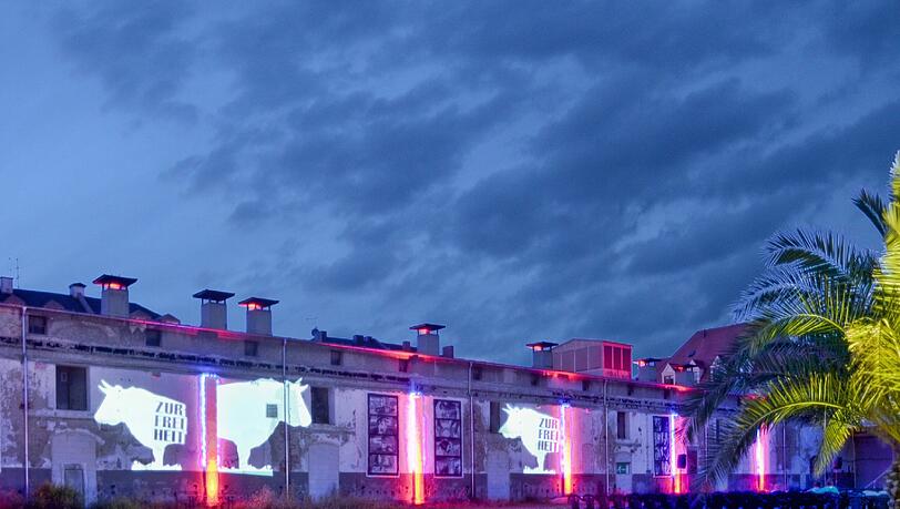 Der unbebaute Viehhof bietet derzeit noch Freiraum für Zwischennutzungen. Kommt das Volkstheater, ändert sich das. Der unbebaute Viehhof bietet derzeit noch Freiraum für Zwischennutzungen. Kommt das Volkstheater, ändert sich das.