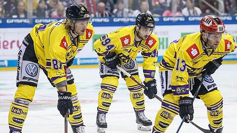 Die Krefeld Pinguine müssen wohl bald die DEL verlassen.
