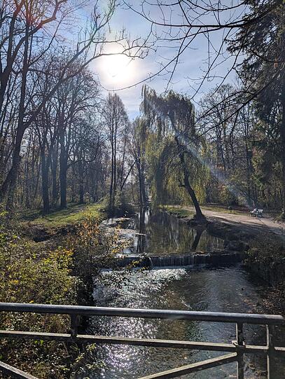 Die Herbstsonne zeigt sich über dem Englischen Garten.