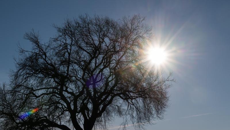 Ein Radfahrer fährt bei Sonnenschein an einem Baum vorbei. Foto: Robert Michael/dpa-Zentralbild/ZB/Symbolbild Ein Radfahrer fährt bei Sonnenschein an einem Baum vorbei. Foto: Robert Michael/dpa-Zentralbild/ZB/Symbolbild