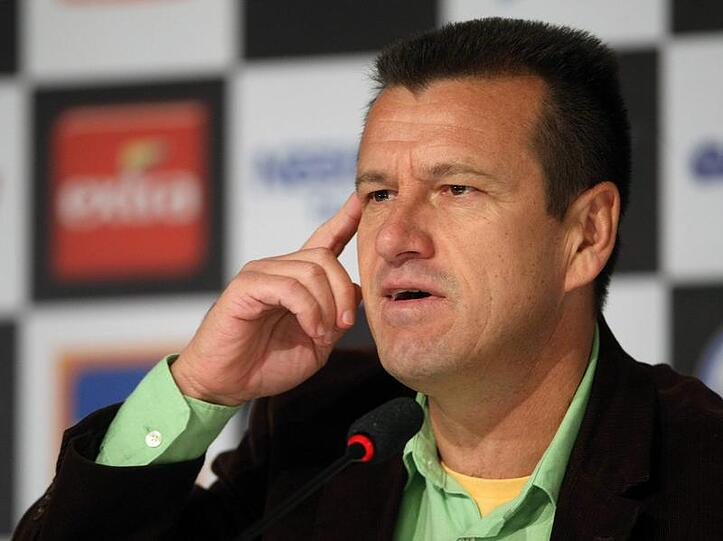 Brasiliens Coach Dunga