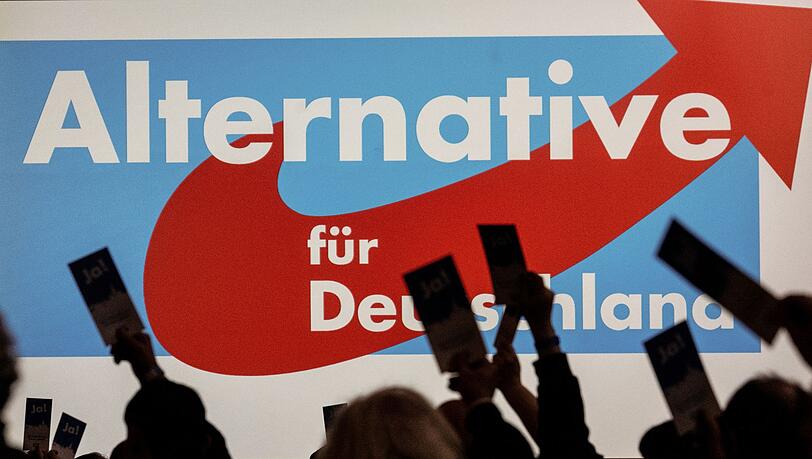 Nach eigenen Angaben zählt die AfD rund 41.000 Mitglieder - Tendenz steigend.