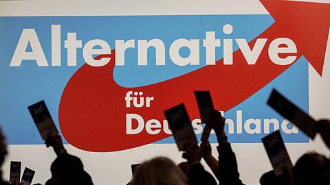Nach eigenen Angaben zählt die AfD rund 41.000 Mitglieder - Tendenz steigend.