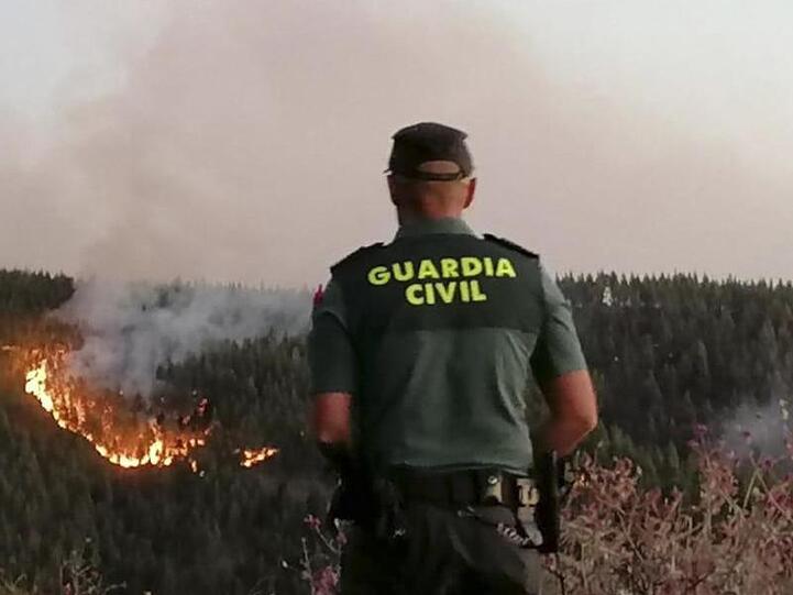 Ein Beamter nimmt den Brand in Augenschein.