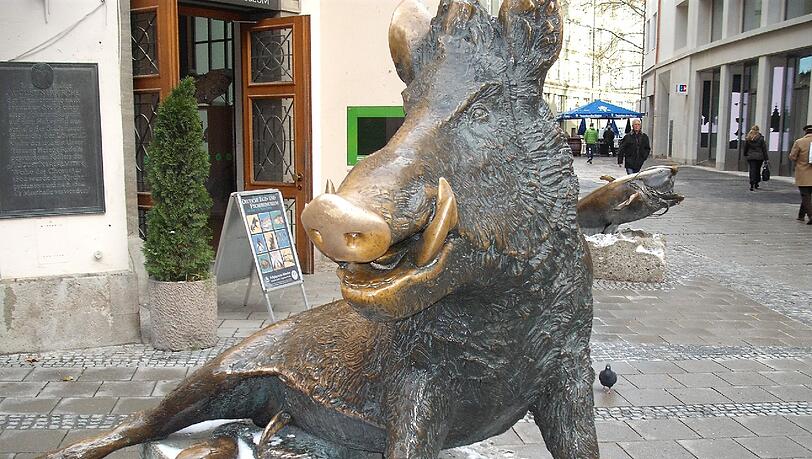 Die Wildsau vor dem Jagd- und Fischereimusem trägt jetzt selbstgestrickte Pulswärmer Die Wildsau vor dem Jagd- und Fischereimusem trägt jetzt selbstgestrickte Pulswärmer