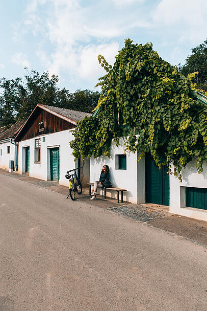 Eine Weinreise durchs Weinviertel- ein Sommerhighlight.