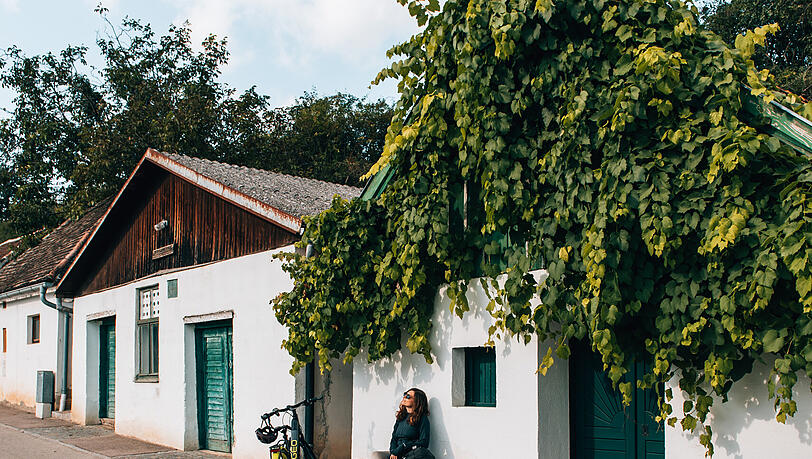 Eine Weinreise durchs Weinviertel- ein Sommerhighlight.