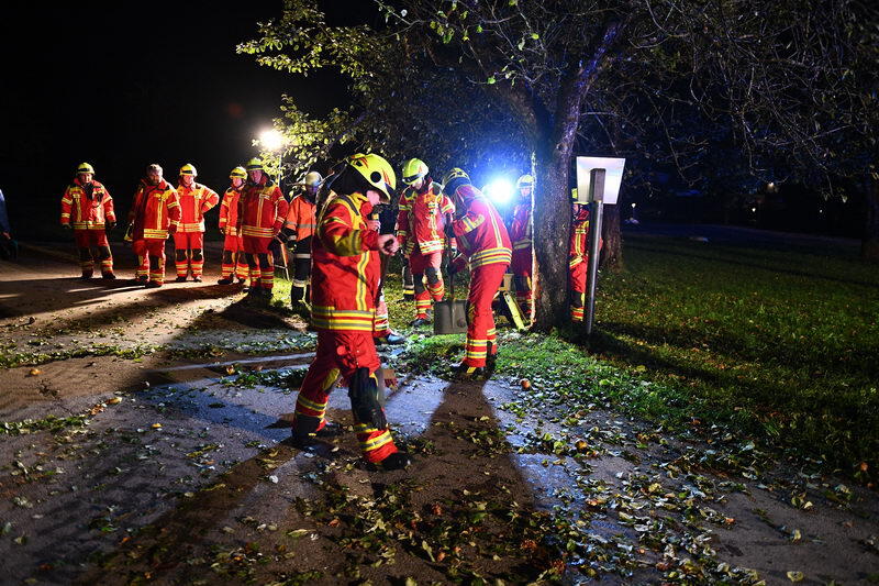 Der junge Autofahrer kam von der Straße ab und prallte gegen eine Baum.