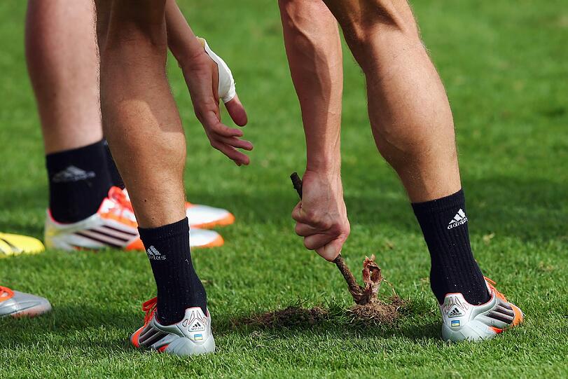 Anatoliy Tymoshchuk schaffte es schließlich, die Stange zu entfernen...