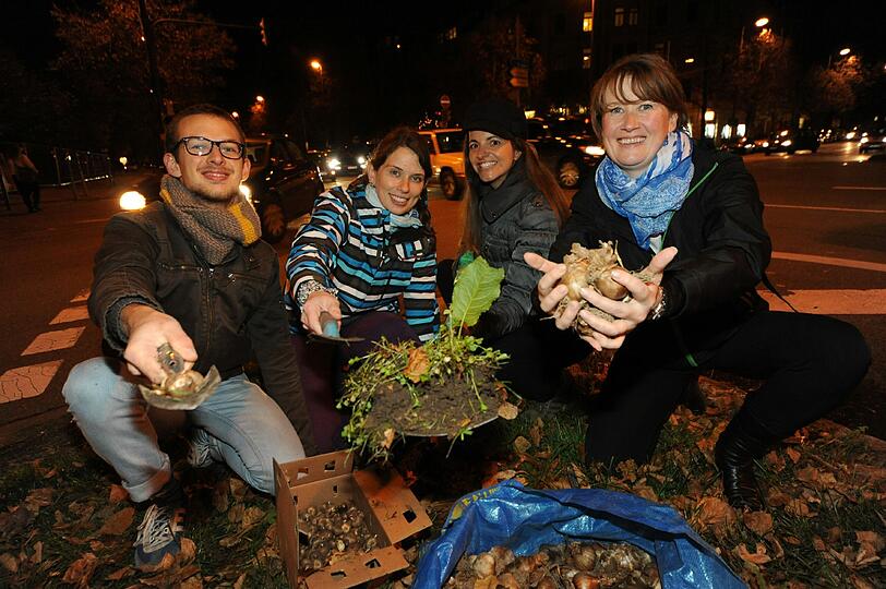 Die "Guerilla-Gärtner" Hannes, Katja, Kristina und Jeanette (von links) an der Landshuter Allee.