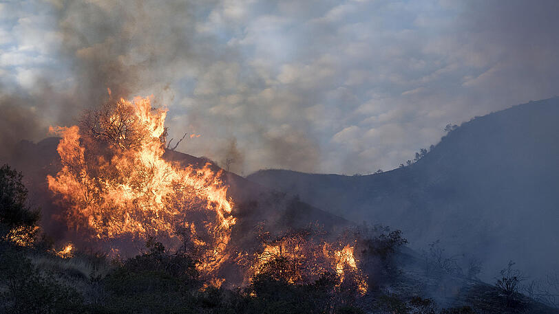 Für den Waldbrand in Kalifornien wurde zwischenzeitlich gar der Notstand ausgerufen.