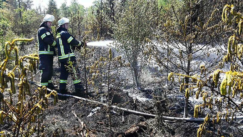 Unter extremen Bedingungen kämpfte sich die Feuerwehr zu den Flammen vor.