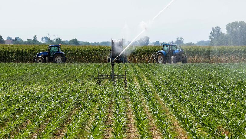 Wegen vorsätzlicher Tötung ist ein Landwirt in Italien nach dem Tod eines Erntehelfers zu 16 Jahren Haft verurteilt worden. (Symbolbild) Wegen vorsätzlicher Tötung ist ein Landwirt in Italien nach dem Tod eines Erntehelfers zu 16 Jahren Haft verurteilt worden. (Symbolbild)