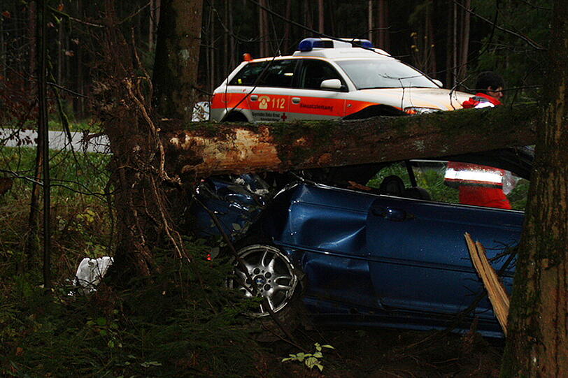 Baum zerquetscht Auto: Die Bilder vom Rettungseinsatz