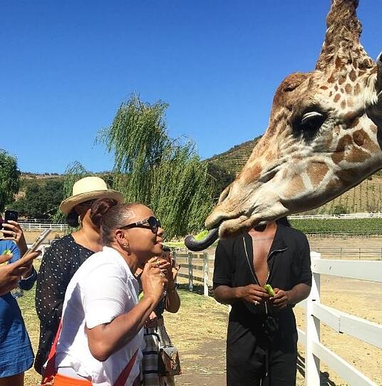 Eine Giraffe hat Gefallen an Christina Milian gefunden.