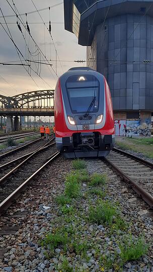 Die Regionalbahn 59104 sollte von der Donnersbergerbrücke zur Bereitstellung auf Gleis 24 des Münchner Hauptbahnhofes rangiert werden.