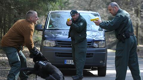 Schäferhund Burgl verbeißt sich während einer Übung auf dem Gelände der Zollhundeschule in Neuendettelsau im Arm eines Trainingsopfers (links), das von den Zollbeamten Erhard Hackl (rechts) und Johann Wizofski mit Übungswaffen in Schach gehalten wird.
