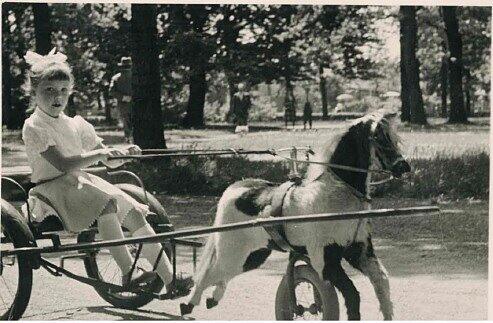 Aufgalopp 1958: die kleine Susi im Sulky beim "Pferderennen" im Luitpoldpark.
