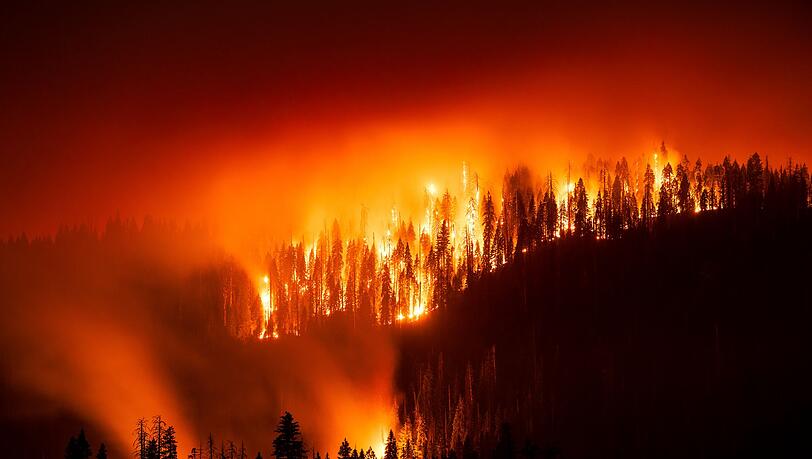 Das "Garnet Fire" bedroht Riesenmammutbäume im Waldgebiet McKinley Grove.
