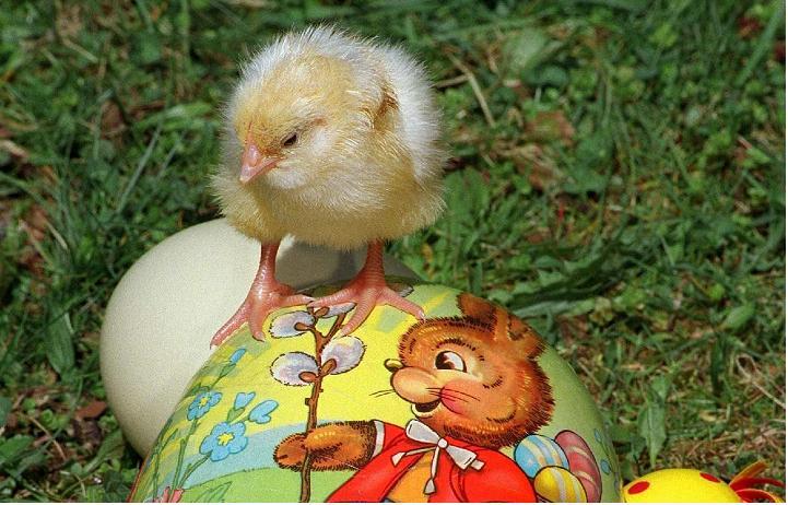 Endlich Osterferien: Jugendclub bietet Tagesbetreuung an.