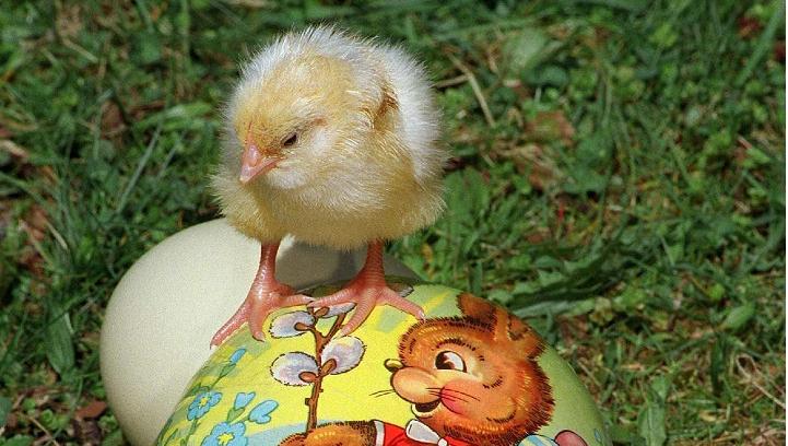 Endlich Osterferien: Jugendclub bietet Tagesbetreuung an. Endlich Osterferien: Jugendclub bietet Tagesbetreuung an.