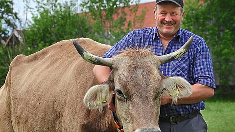 Landwirt Markus Grieser steht mit seiner Kuh Regina auf der Weide.