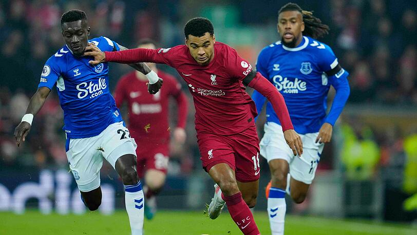 Cody Gakpo (M) traf beim Liverpool-Sieg gegen Everton zum 2:0.