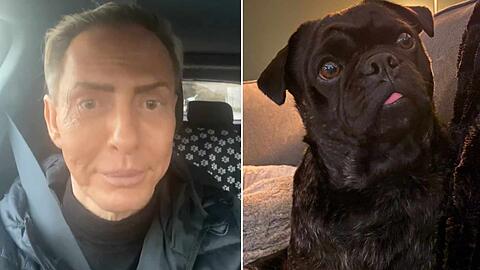 Andre Schulz in großer Sorge um seinen Hund: Was ist mit Gerry passiert?