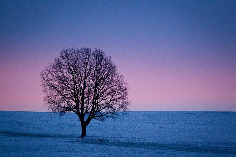 Winterbilder aus Bayern