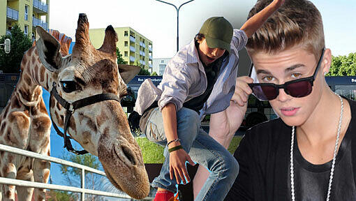 Teeny-Star Justin Bieber (re.) bringt im März die Mädels in der Olympiahalle zum Kreischen. Er ist einer von zahlreichen Superstars im Park. Bei den X-Games kommen die besten Athleten der Skateboard-, BMX-, Motocross- und Mountainbike-Szene in den Münchner Olympiapark.Schau mal, was da gebaut wird: Die Giraffen bekommen im Sommer ein neues und viel größeres Gehege im Tierpark. Teeny-Star Justin Bieber (re.) bringt im März die Mädels in der Olympiahalle zum Kreischen. Er ist einer von zahlreichen Superstars im Park. Bei den X-Games kommen die besten Athleten der Skateboard-, BMX-, Motocross- und Mountainbike-Szene in den Münchner Olympiapark.Schau mal, was da gebaut wird: Die Giraffen bekommen im Sommer ein neues und viel größeres Gehege im Tierpark.
