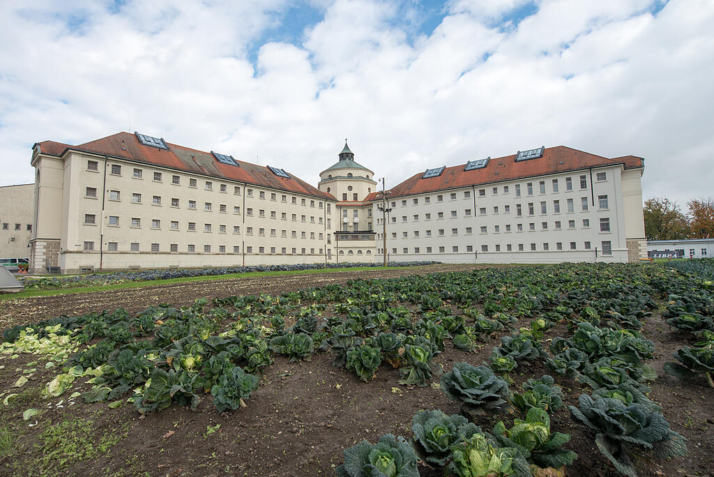 55 Infizierte: Corona-Ausbruch in Straubinger Gefängnis | Abendzeitung München