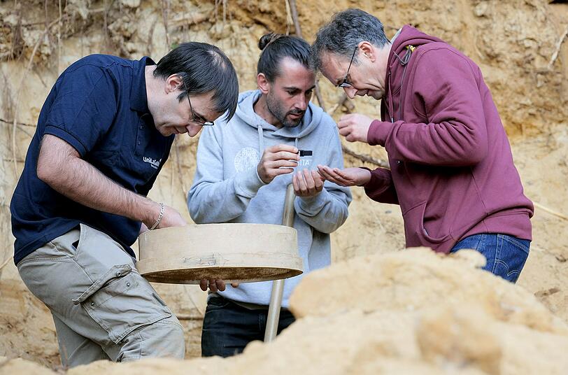 Um zu erfahren, wie h&ouml;here Wassertemperaturen fr&uuml;her Korallen beeinflussten, untersuchen Forscherinnen und Forscher Fossilien.