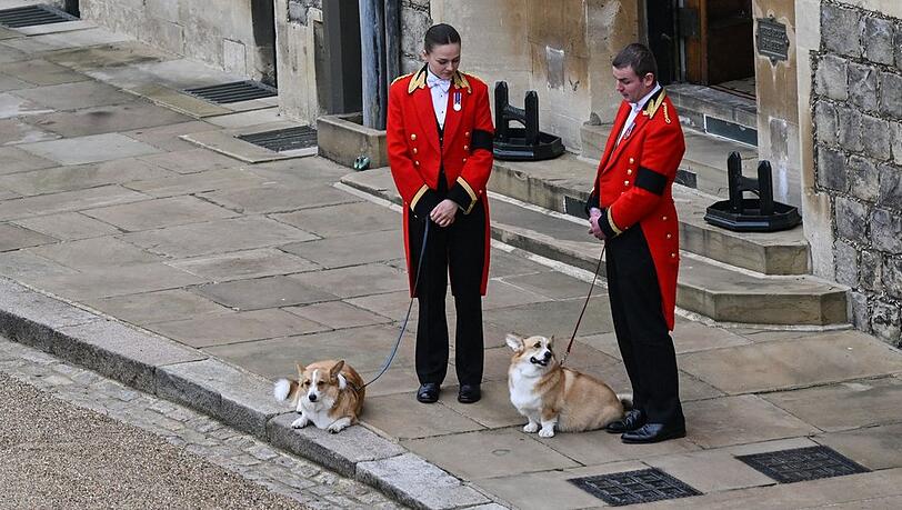 Die Corgis Muick und Sandy warteten an der Leine auf den Sarg ihrer Herrin. Die Corgis Muick und Sandy warteten an der Leine auf den Sarg ihrer Herrin.