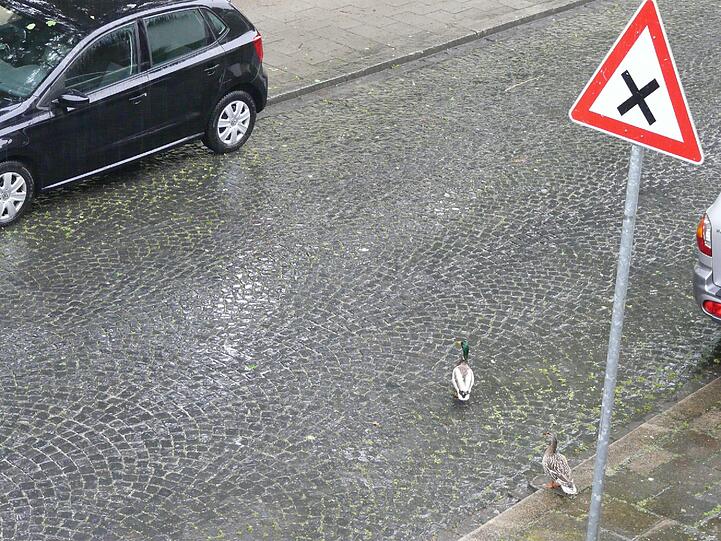 Am Sonntagmorgen in Harlaching.