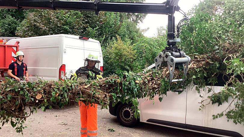 Ein Kleintransporter ist am Dienstag von einem umgestürzten Baum schwer beschädigt worden. Verletzt wurde dabei aber niemand.