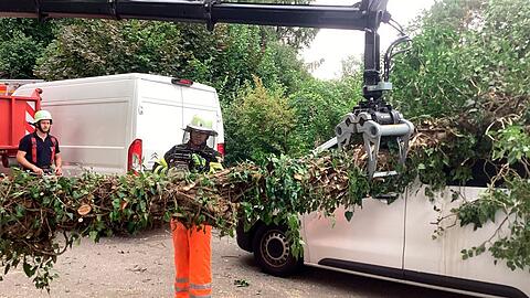 Ein Kleintransporter ist am Dienstag von einem umgestürzten Baum schwer beschädigt worden. Verletzt wurde dabei aber niemand.