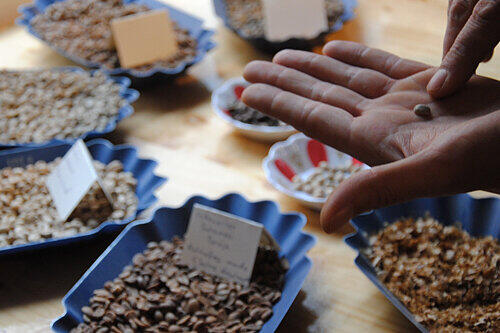 ...wo er Bohnen der Sorten Arabica und Robusta röstet.