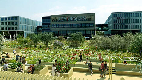 100 neue B&auml;ume will die Stadt auf dem Willy-Brandt-Platz pflanzen.