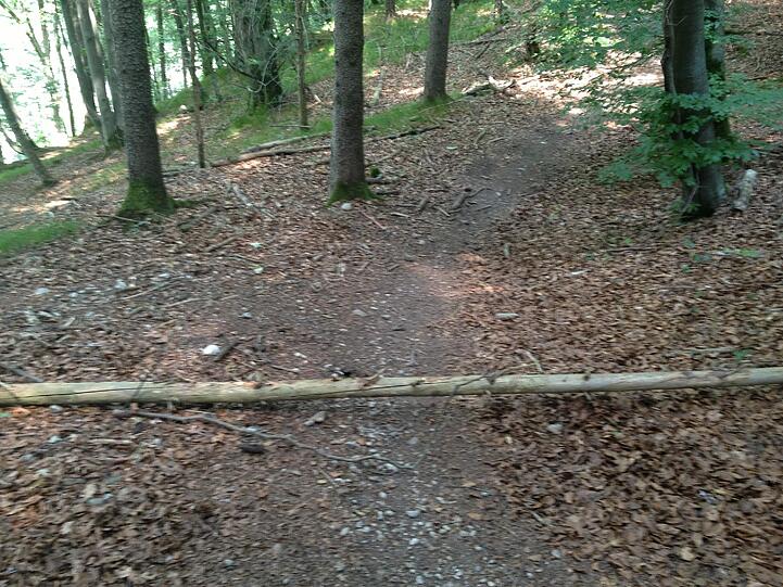 Gefährliche Falle für Mountainbiker auf einem Isartrail am vergangenen Wochenende.